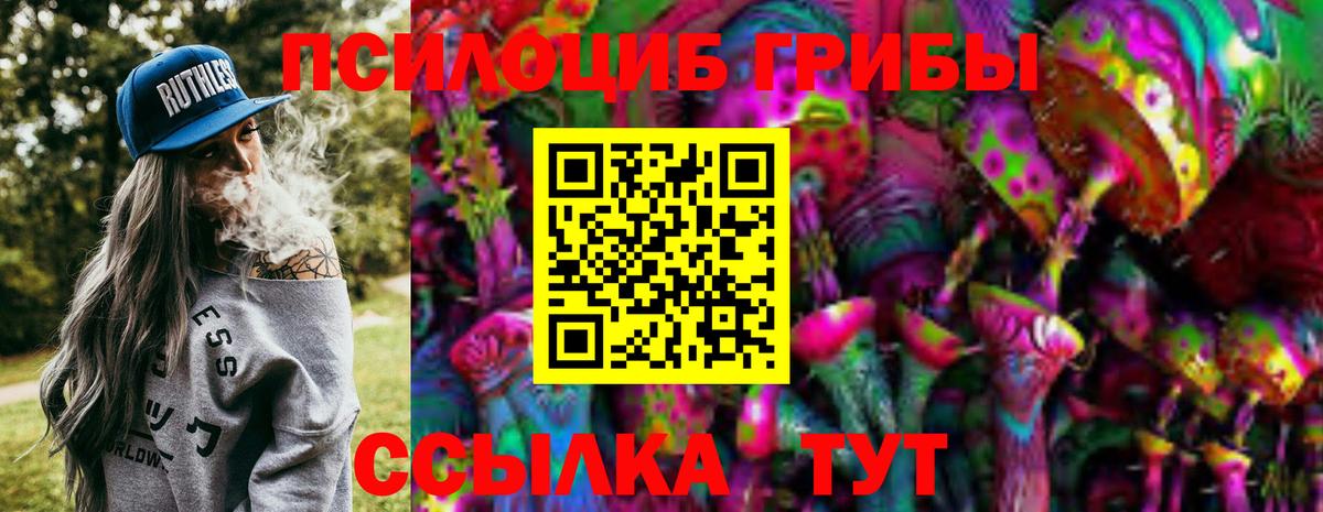Галлюциногенные грибы Psilocybine cubensis Коркино